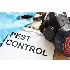 River City Termite Removal Experts