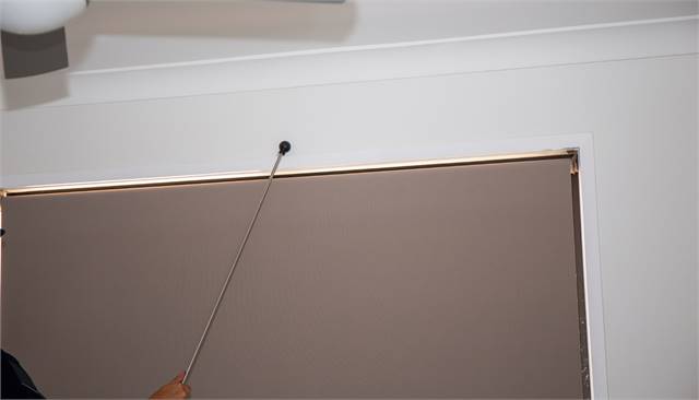 Doo Dah Termite Removal Experts