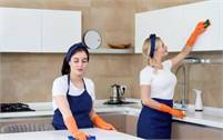  Duty  Cleaners